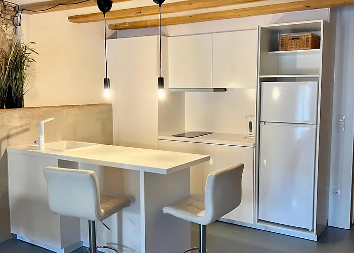 Bellaire Barri Vell Appartement Gérone